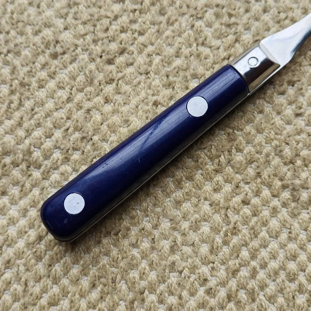 4 Teaspoons Stainless Inox 18/0 Blue Plastic Handle 2 Rivets 6